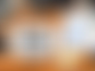 Professional Business Valuation Services