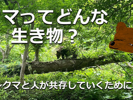 クマについて知ろう!~人とクマが共存するためには~