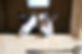 IMG_5065.jpeg