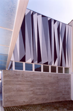 frontal