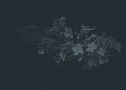 Fall flowers._edited.jpg