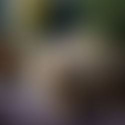 Lake Oswego Farmers' Markets Season Ending Soon