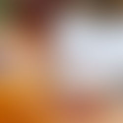 Meet Us Today at The Hawthorne Farmers Market