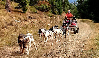 IMG-20191107-WA0014_edited.jpg