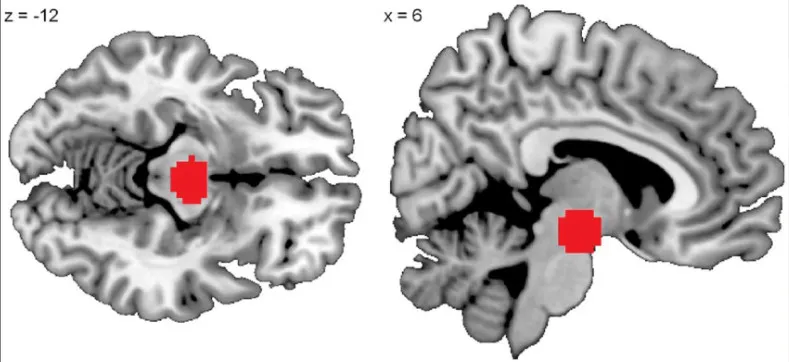 Ventral-1.webp