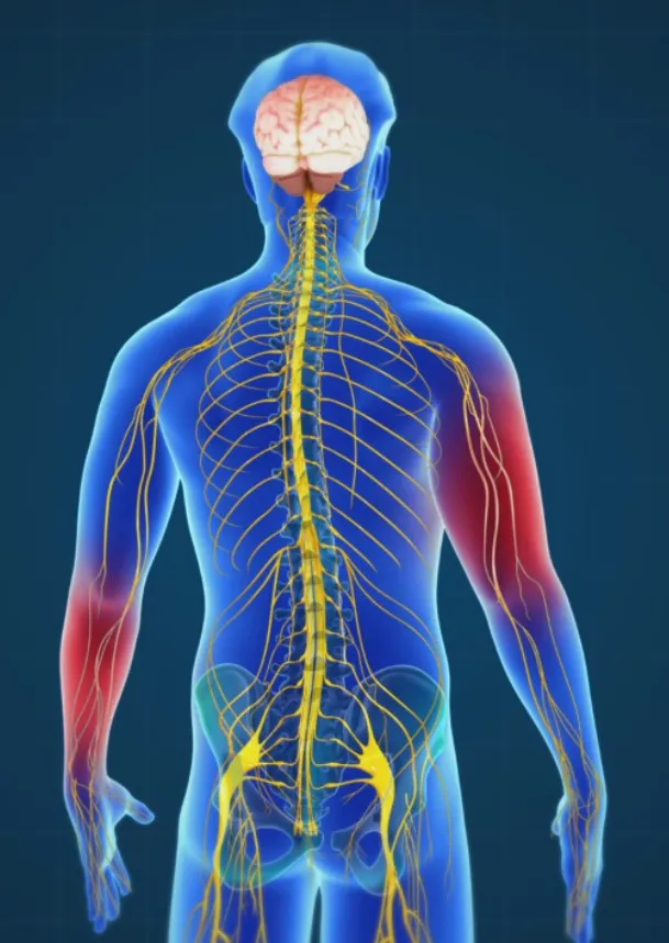 Underlying-Music-Mechanisms-Influencing-the-Neurology-of-Pain.webp