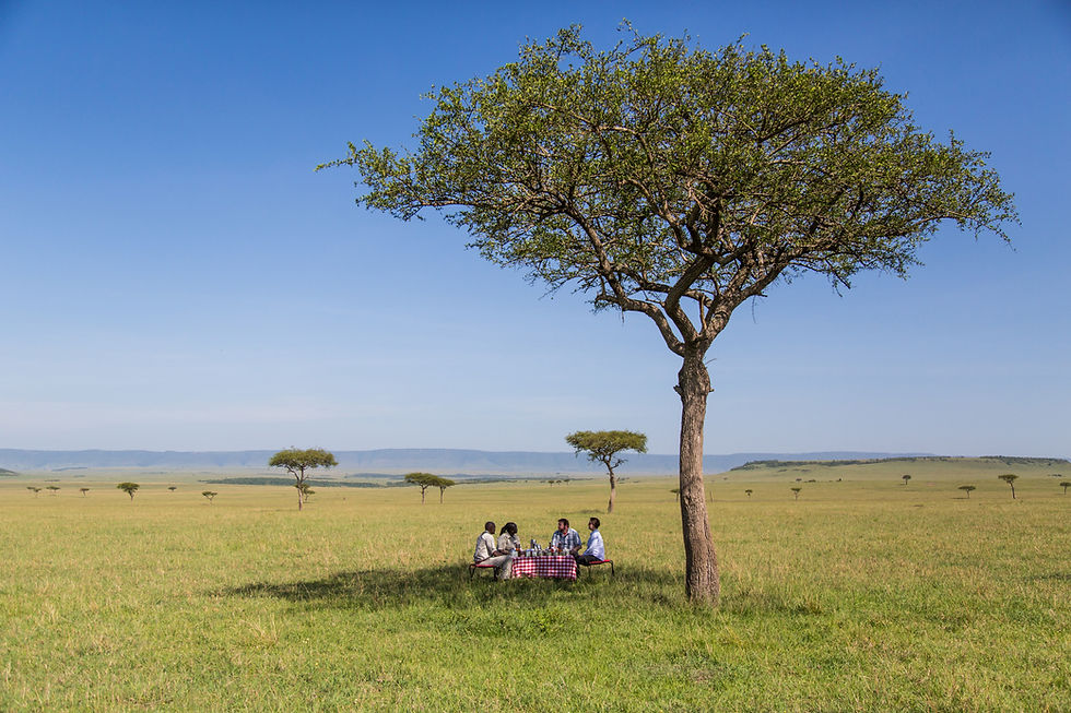 Picnic In The Mara