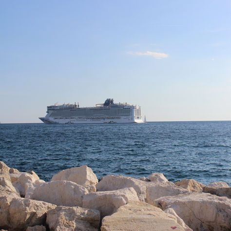 Choose to Cruise
