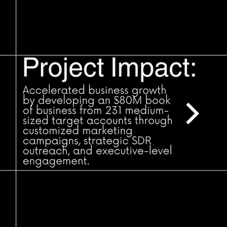 NielsenIQ - $80M ABM Campaign