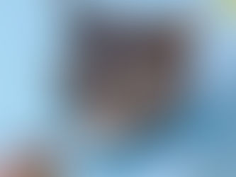 我が家の長男猫のレオが天国へ旅立ちました