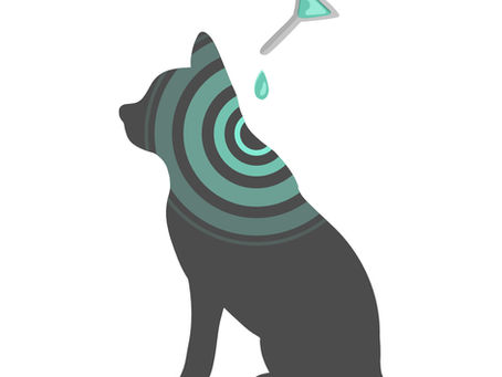 【にゃんこ防災2023アクションプランその15】今週のねこちゃんの災害対策でするべきこと