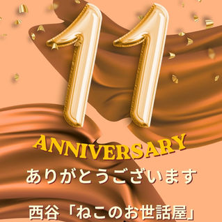 11周年記念お知らせ