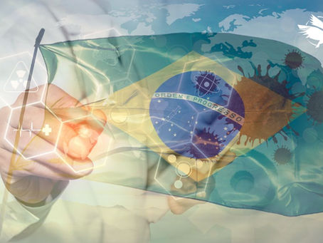 The Impact of Brazil’s New Foreign Exchange Framework on the Country’s Technology Balance