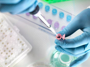 A Evolução do Ecossistema de Startups de Saúde no Brasil: Reflexões sobre o CB Insights Venture Report Q3-2024