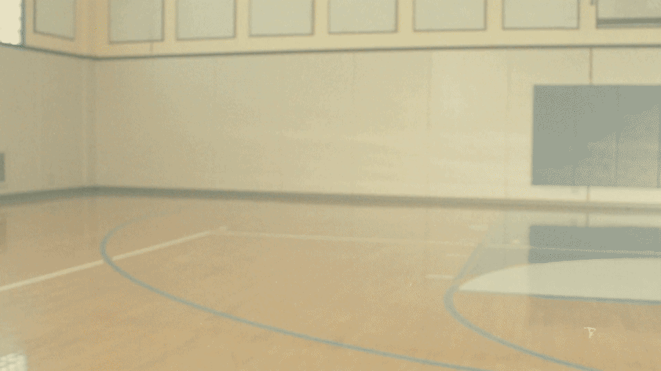 bloom-clip-0m00s-0m06s.gif