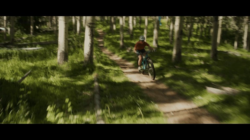 bloom-clip-1m33s-1m36s.gif