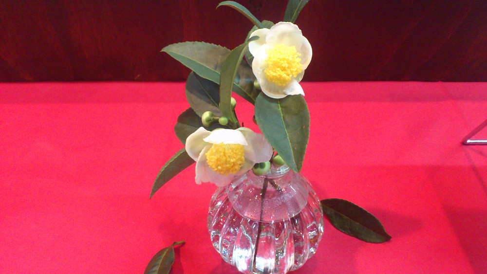 お茶の花 お茶の花
