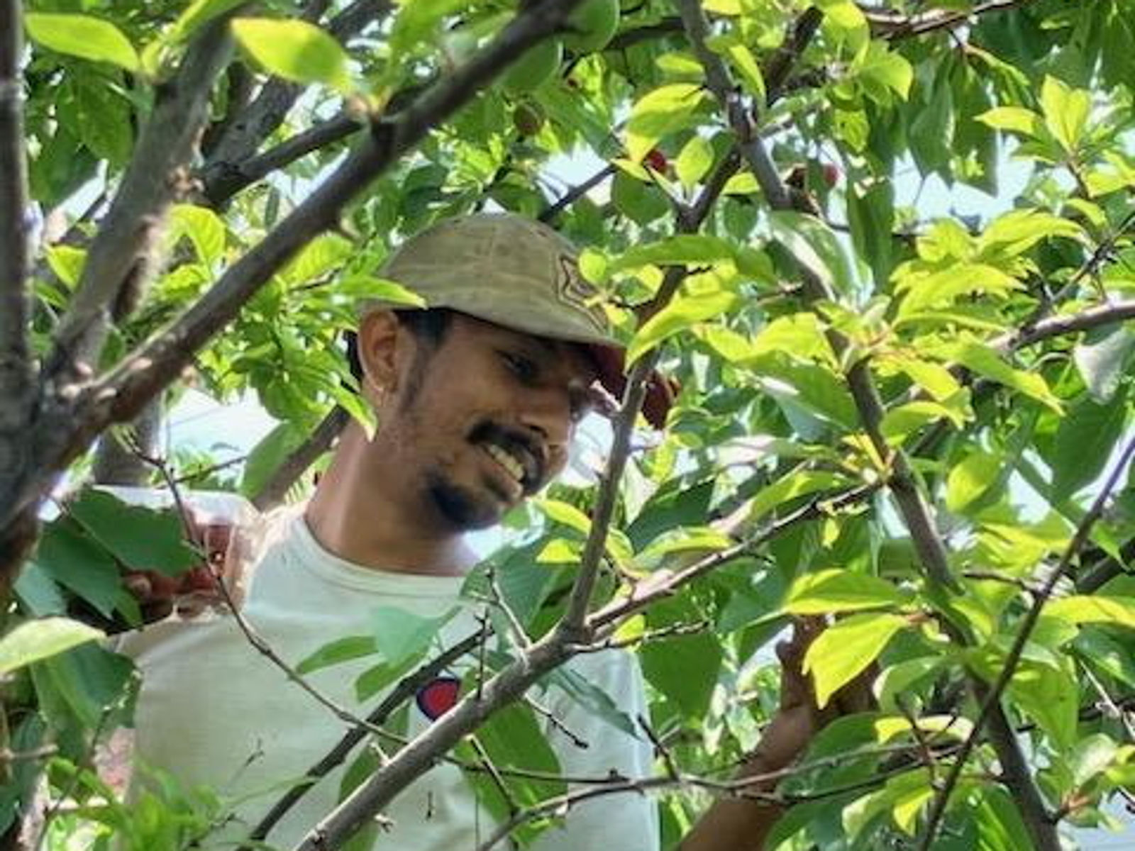 D-Town Farm (DBCFSN) photo 19