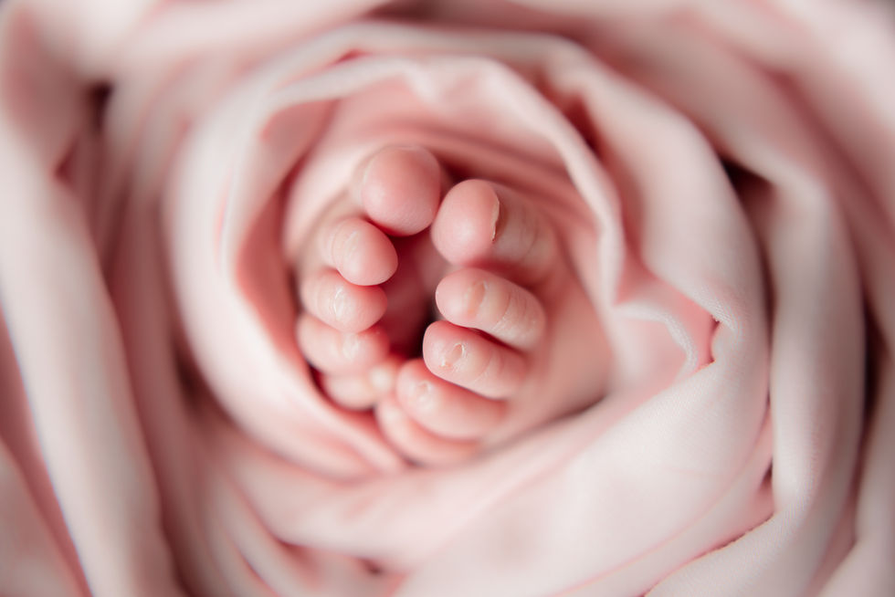 Pink newborn toes
