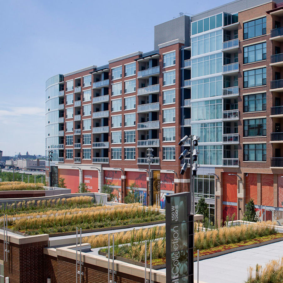 Roosevelt Collection