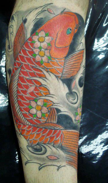 Tattoo-Carpa-e-Sakuras.jpg