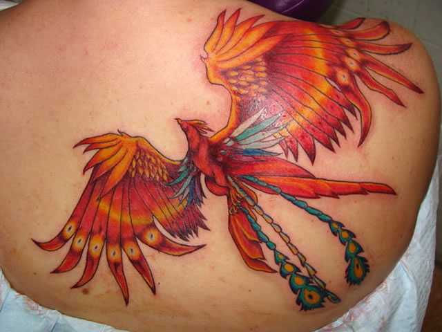 Desenhos-de-tatuagens-fênix-4.jpg