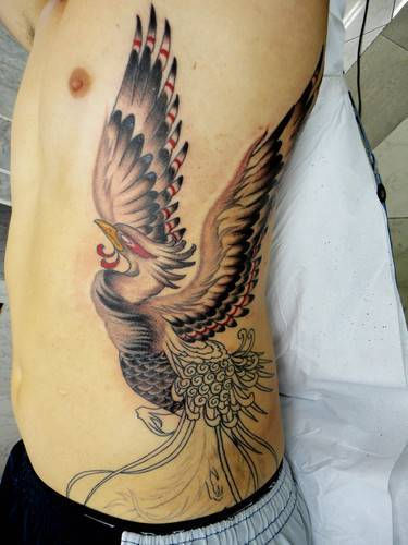fenix-na-costela-5.jpg