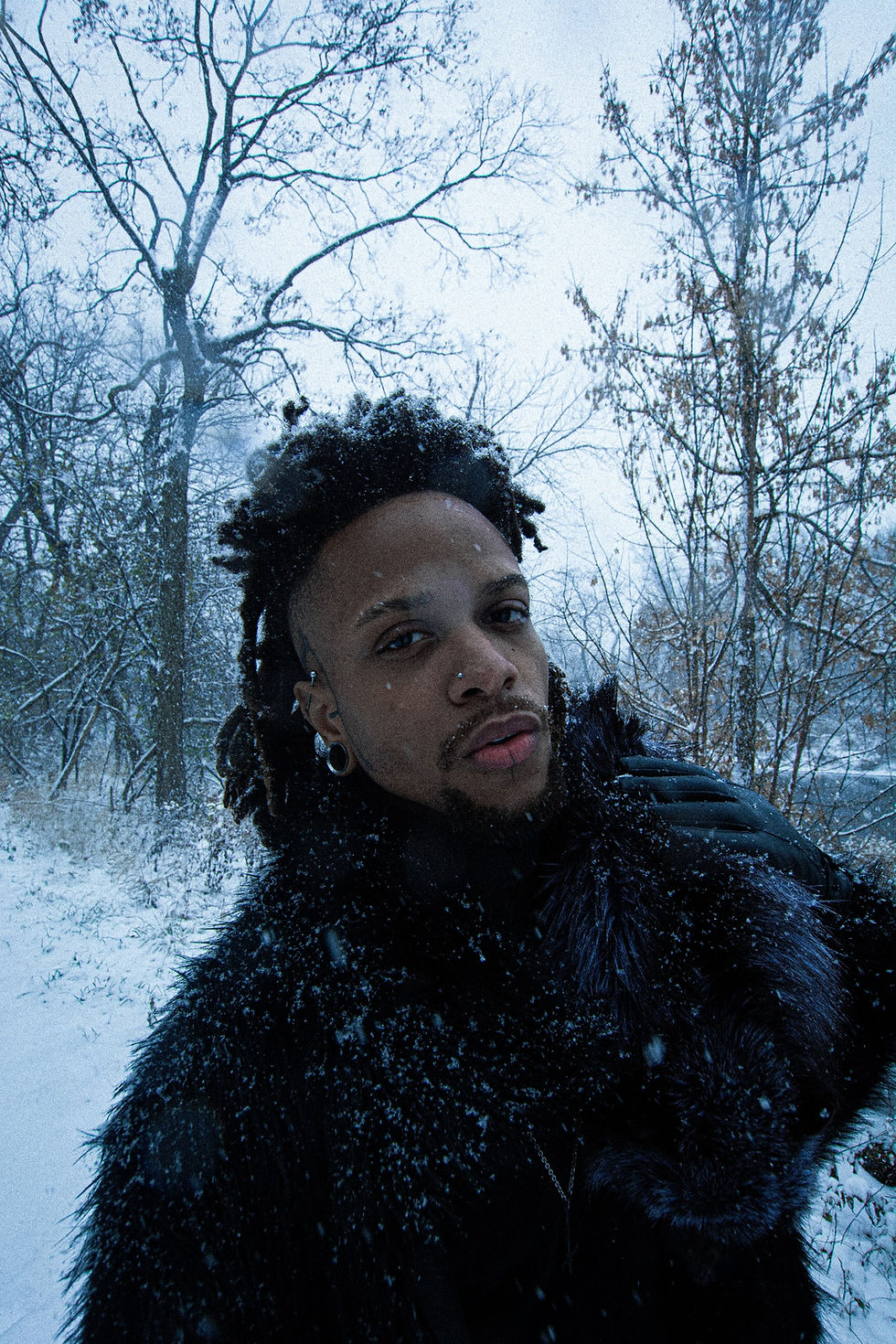 “Not Alone” By “Mara Van Dyck”