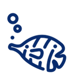 summer icons blue.png