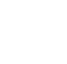 RD LOGO WHITE 2.png