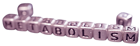 Untitled design-53.png