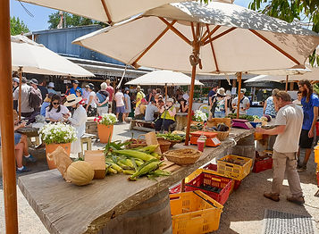 Matakana-Village-Farmers-Market-04.jpg