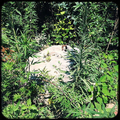 HipstamaticPhoto-555413864.107451.jpeg