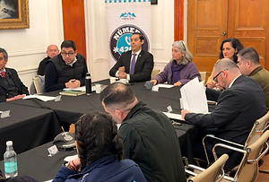 27 AGOSTO: CONSEJO DE SEGURIDAD