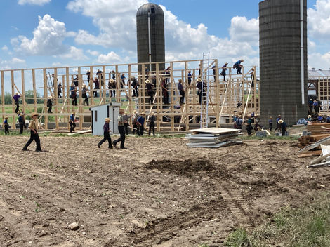 many hands make light work as the Amish community gets busy building a barn