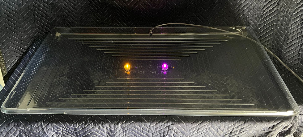 Thumbnail: Wedding Heart Chariot with Names and Horse.