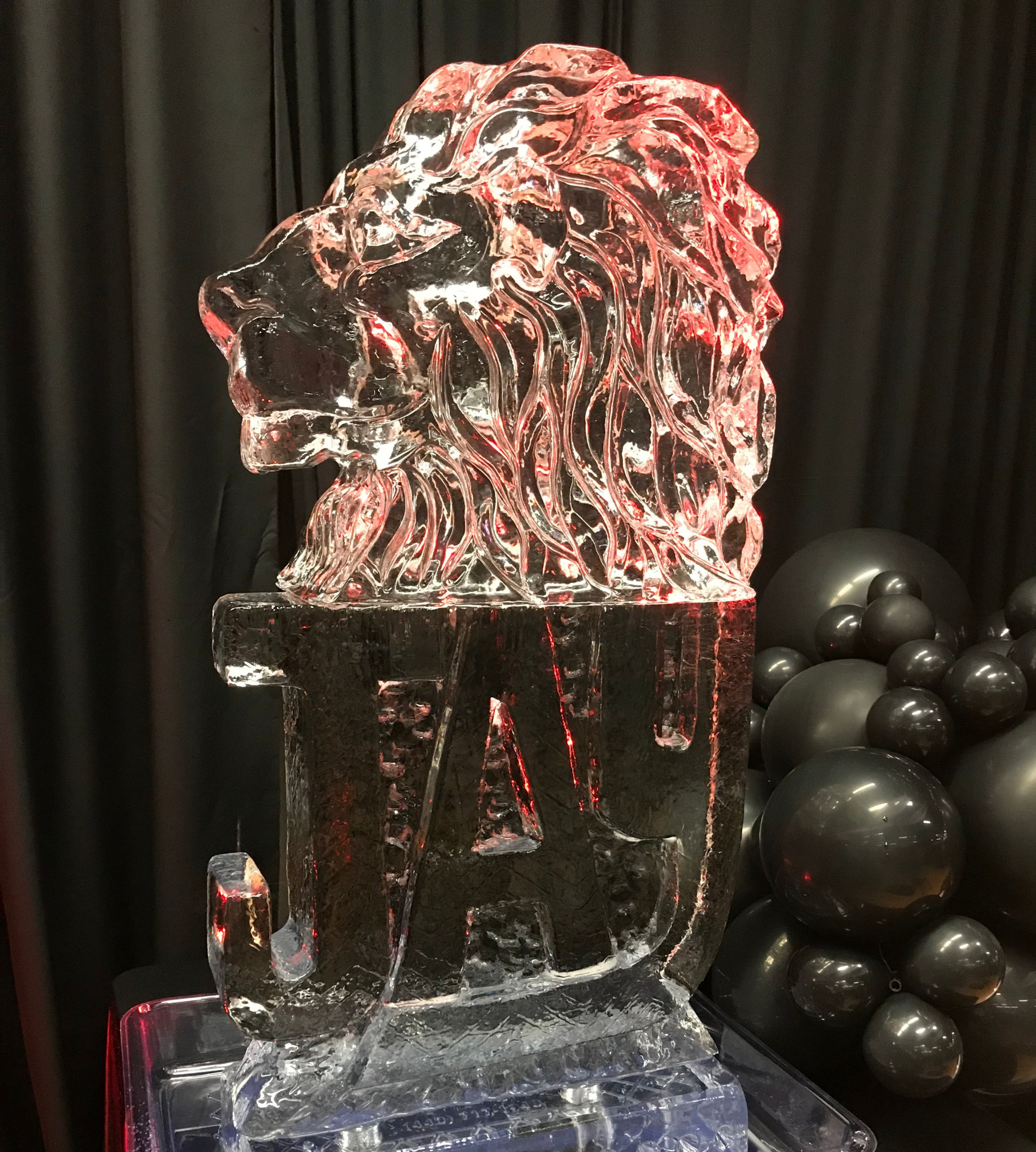 Head of male lion with JAY