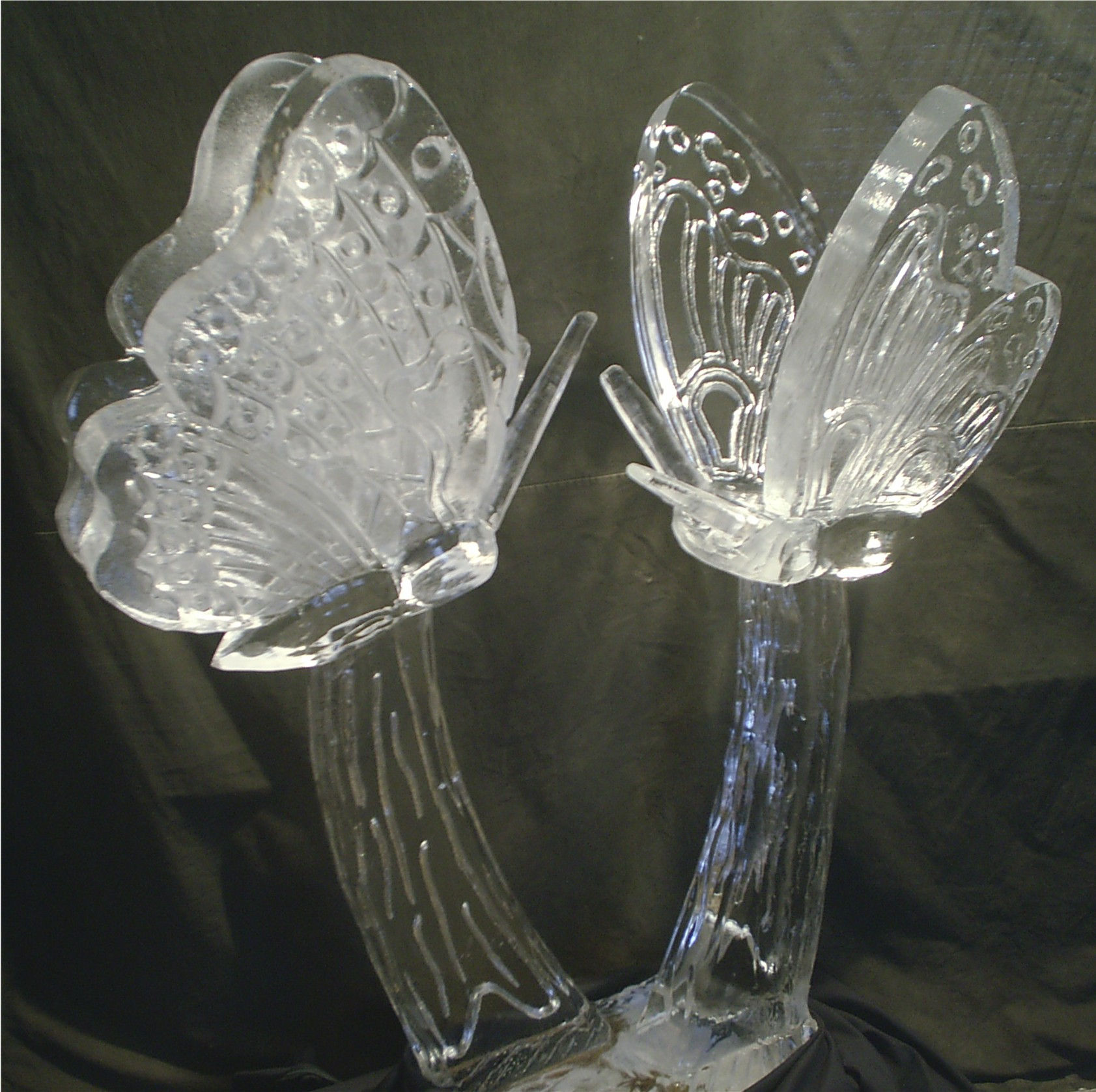 Crystal Butterflies on Pillars