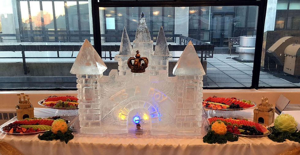 Ice Castle with Banner and Its A Boy