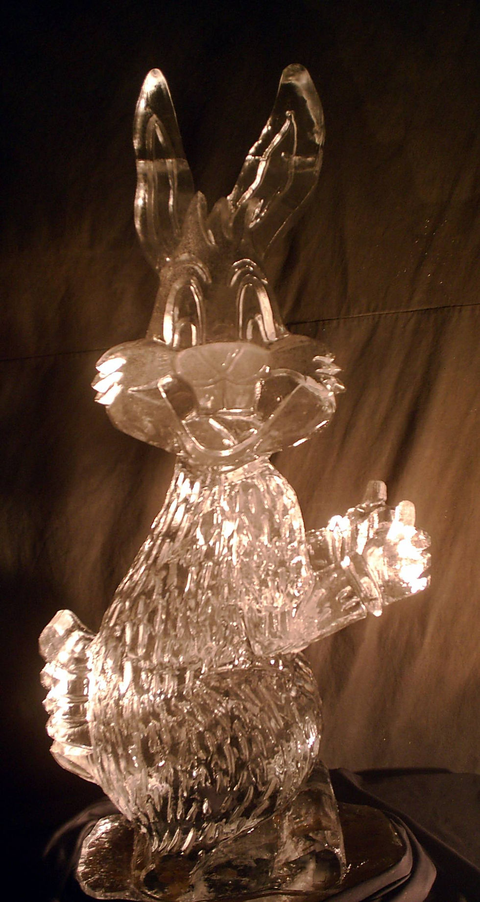 Happy Easter Bunny