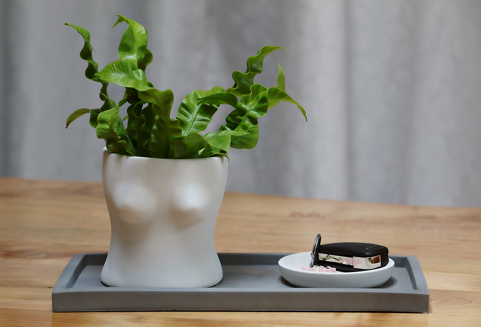 Miniature : Nouvelle Collection