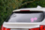 Thumbnail: Baby on Board Dino 1