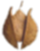 your_idea_is_a_seed_waiting_to_be_planted_3