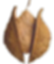 plant_your_seed_with_beautiful_web_development_13