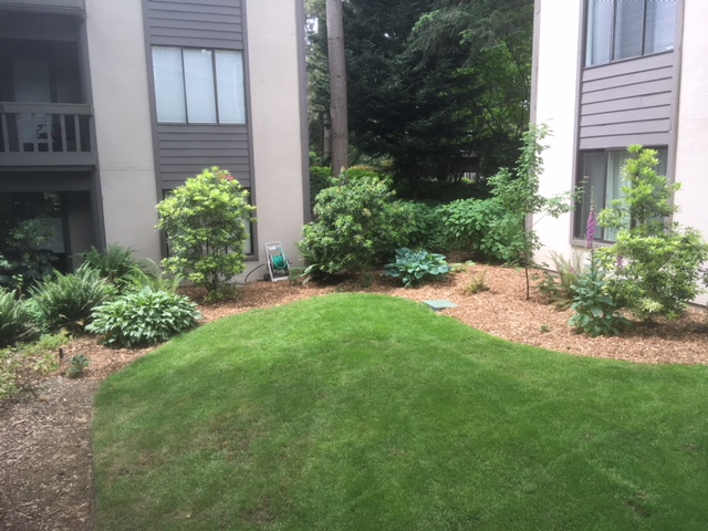 B and C Garden