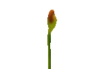 Untitled (1024 x 700 px).gif