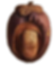 your_idea_is_a_seed_waiting_to_be_planted_6