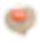 chinese-lantern-shk-4_edited.png