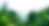 stand_out_In_a_forest_full_of_possibilities