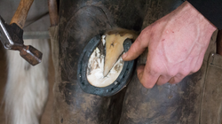 Smid details_edited.jpg